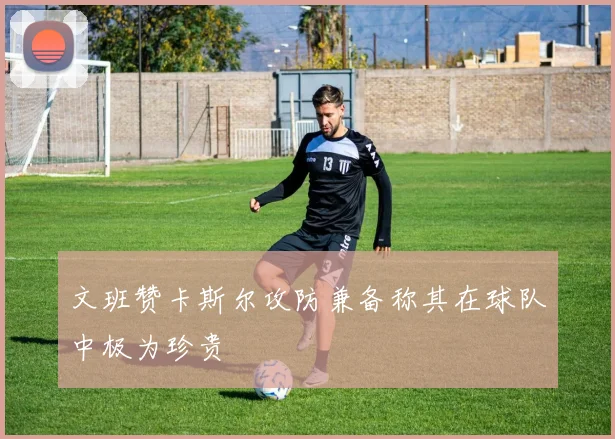 文班赞卡斯尔攻防兼备称其在球队中极为珍贵